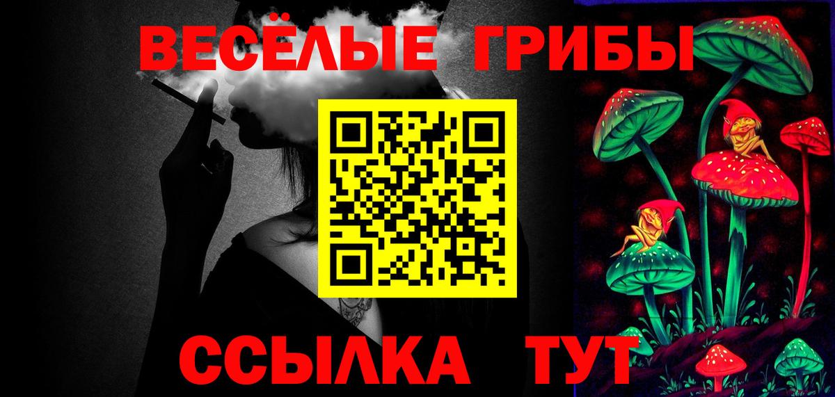 Псилоцибиновые грибы Psilocybine cubensis  Вход с VPN  Валуйки 